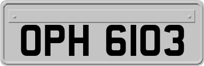 OPH6103