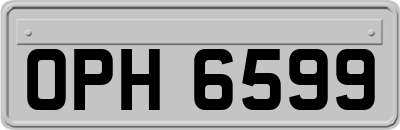 OPH6599