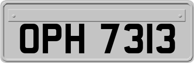 OPH7313