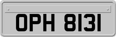 OPH8131