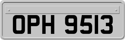 OPH9513