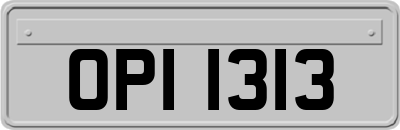 OPI1313