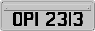OPI2313