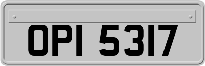 OPI5317
