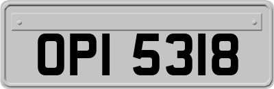 OPI5318
