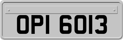 OPI6013