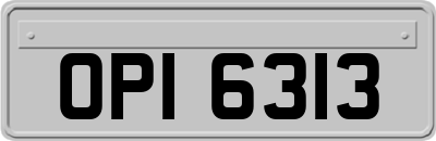 OPI6313