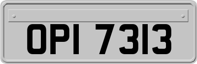 OPI7313