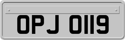 OPJ0119