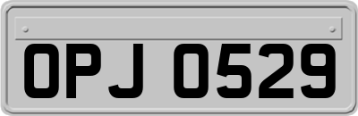 OPJ0529