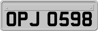 OPJ0598