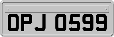 OPJ0599