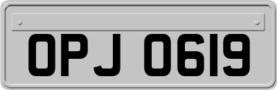 OPJ0619