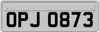 OPJ0873