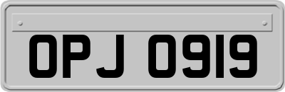 OPJ0919