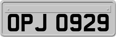 OPJ0929
