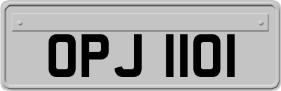 OPJ1101