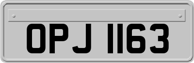 OPJ1163