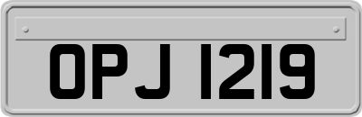 OPJ1219