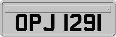 OPJ1291