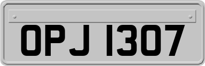 OPJ1307