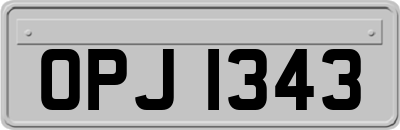 OPJ1343