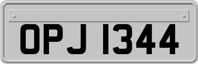 OPJ1344