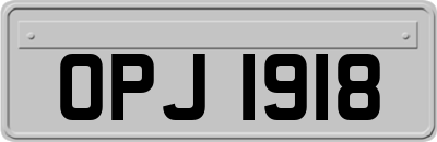 OPJ1918