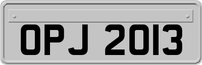 OPJ2013
