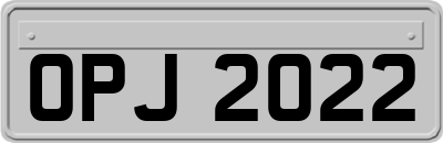 OPJ2022