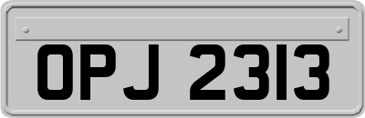 OPJ2313