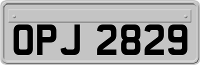 OPJ2829