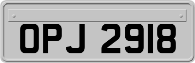 OPJ2918