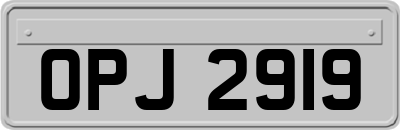 OPJ2919