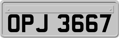 OPJ3667