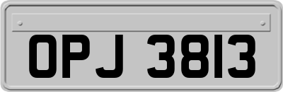 OPJ3813