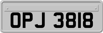 OPJ3818