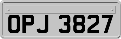 OPJ3827