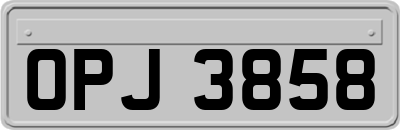 OPJ3858