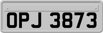 OPJ3873