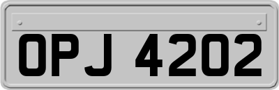 OPJ4202
