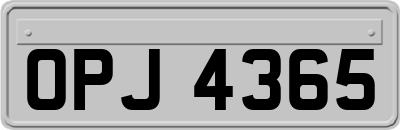 OPJ4365