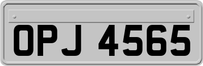 OPJ4565