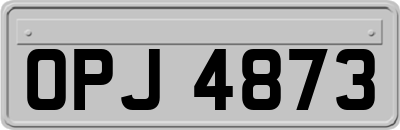 OPJ4873