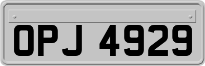 OPJ4929