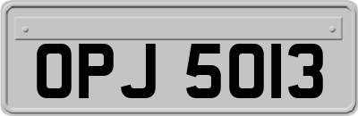 OPJ5013