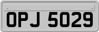 OPJ5029