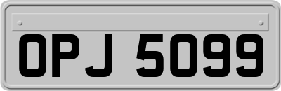 OPJ5099
