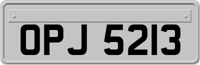 OPJ5213