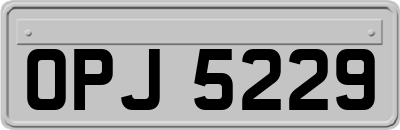 OPJ5229